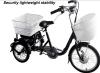 Hot sale electric tricycle bike with 36v10 lithium battery operated
